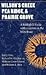 Wilson's Creek, Pea Ridge, and Prairie Grove: A Battlefield Guide, with a Section on Wire Road (This Hallowed Ground: Guides to Civil Wa): A Battlefield ... Ground: Guides to Civil War Battlefields)