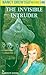 The Invisible Intruder (Nancy Drew, #46)