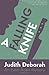 A Falling Knife: An Evan Adair Mystery