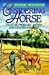 Considering the Horse: Tales of Problems Solved and Lessons Learned