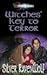 Witches' Key to Terror (Witches' Chillers Series (2))