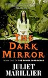 The Dark Mirror (The Bridei Chronicles, #1)