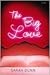 The Big Love by Sarah Dunn