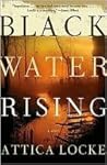 Black Water Rising by Attica Locke Black Water Rising by Attica Locke