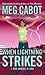 When Lightning Strikes (1-800-Where-R-You, #1)