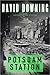 Potsdam Station (John Russell, #4)