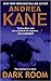 Dark Room by Andrea Kane