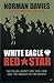 White Eagle, Red Star: The Polish-Soviet War 1919-20