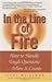 In the Line of Fire by Jerry Weissman