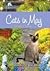 Cats in May