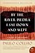 By the River Piedra I Sat Down and Wept by Paulo Coelho