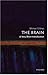 The Brain: A Very Short Introduction (Very Short Introductions)