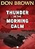 Thunder in the Morning Calm by Don     Brown