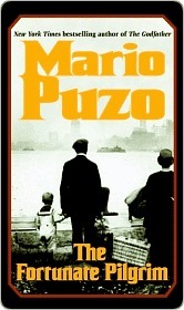 The Fortunate Pilgrim