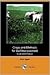 Crops And Methods For Soil ...