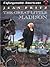 The Great Little Madison by Jean Fritz