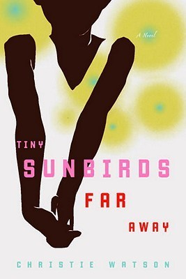 Tiny Sunbirds, Far Away: A Novel