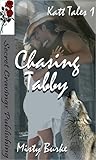 Chasing Tabby (Katt Tales #1)