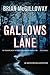 Gallows Lane by Brian McGilloway