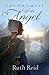 The Promise of an Angel by Ruth  Reid