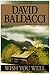Wish You Well by David Baldacci