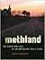 Methland: The Death and Lif...