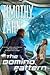 The Domino Pattern by Timothy Zahn