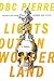 Lights Out in Wonderland by D.B.C. Pierre
