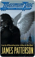 The Angel Experiment