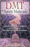 DMT: The Spirit M...