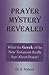 Prayer Mystery Revealed: What The Greek Of The New Testament Really Says About Prayer