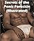 Secrets of the Penis Foreskin (Illustrated)