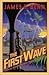 The First Wave (Billy Boyle World War II, #2)