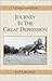Journey in the Great Depression by John Lifflander