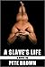 A Slave's Life