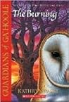 The Burning