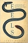 Eels: An Explorat...