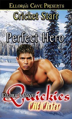 Perfect Hero (Kindle Edition)