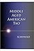Middle Aged American Tao : The Novel