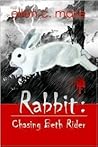 Rabbit by Ellen C. Maze
