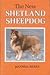 The New Shetland Sheepdog.