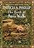 The Book of Atrix Wolfe by Patricia A. McKillip