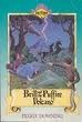 Brill and the Puffire Volcano (Exitorn Adventures, #6)