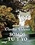 Somos tú y yo by Claudia Velasco