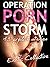 Operation Porn Storm