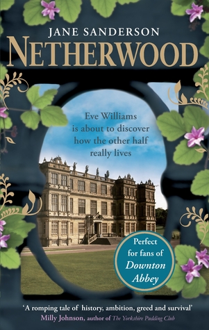 Netherwood (Eve Williams, #1)