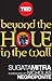 Beyond the Hole in the Wall...