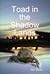 Toad in the Shadow Lands