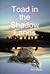 Toad in the Shadow Lands