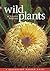 Wild Plants of Greater Bris...